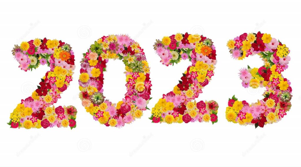 A MESSAGE FOR THE NEW YEAR - Princeton Real Estate